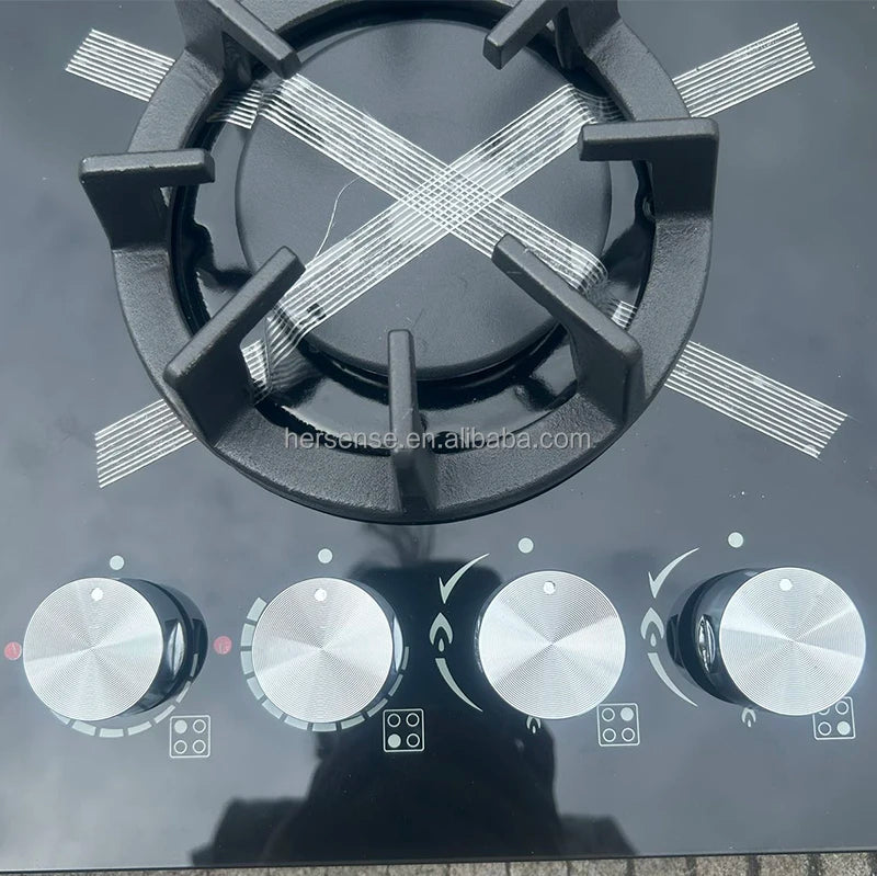 OEM Cooking Appliance Countertop Built in 2 Gas Burner 2 Electric Burner Electric and Gas Cooker Stove